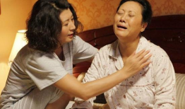王丽云电视剧全部,演绎人生百态，诠释情感真谛