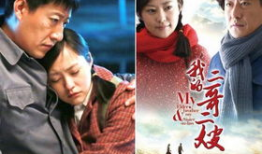 二哥电视剧,兄弟情深，共度风雨