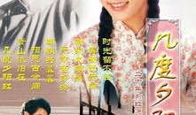 几度夕阳红电视剧,岁月流转中的情感纠葛与人生抉择
