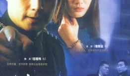 绝不放过你电视剧全集,复仇之路，爱恨交织的复仇传奇