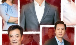 萧正楠主演的电视剧,情感纠葛与命运抉择