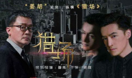 电视剧s,情感纠葛与命运抉择的悲喜人生