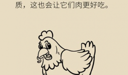 土鸡漫画,趣味横生的乡村生活画卷