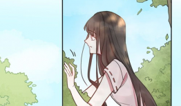 漫画不哭,漫画中的温情治愈之旅
