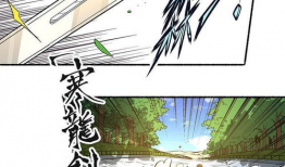鸟文漫画,趣味横生的动物世界